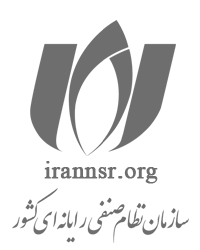 نظام صنفی رایانه ای